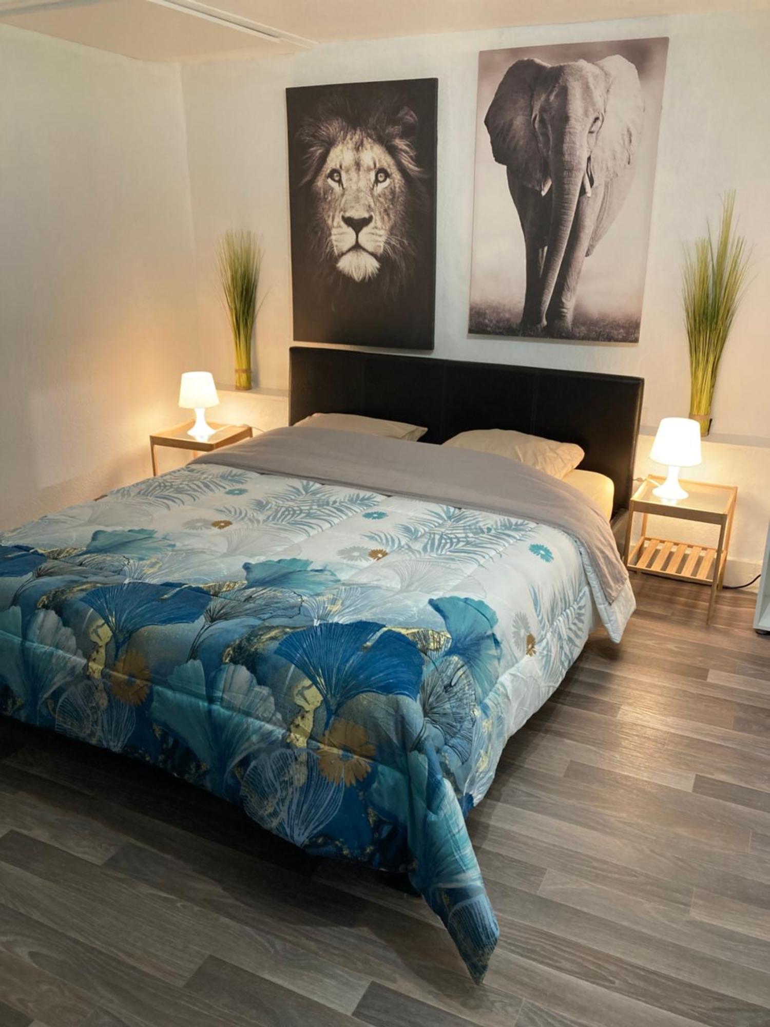 Gite D'Avalon Chambre 7 ディナン エクステリア 写真